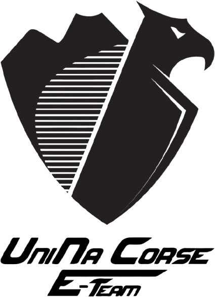 Embedded motorsport visual